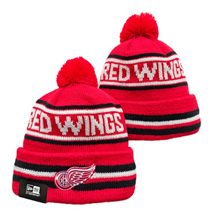 Casquette tricotée unisexe de haute qualité pour l'équipe de hockey sur glace, brodée, chaude, pour l'hiver, réglable - Product Image 4