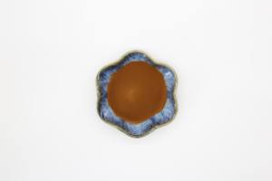 Extrait de graines de moutarde blanche 10:1, qualité alimentaire, extrait de moutarde, poudre de moutarde blanche, vente en gros, livraison gratuite, qualité assurée - Product Image 3