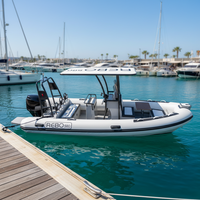 Catc Hypalon/PVC — bateau gonflable, Double coque en aluminium, réticule rigide de 19 pieds