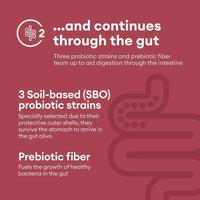 Supplément intestinal de marque privée spiruline probiotiques prébiotiques capsules d'enzymes digestives pour une digestion saine