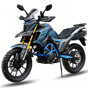¡Oferta! Motocicleta Todoterreno 250cc con Enfriamiento por Aceite, Motor Loncin FE250, Modelo Tekken300 300cc, Precio Mayorista 2026 - Product Image 2