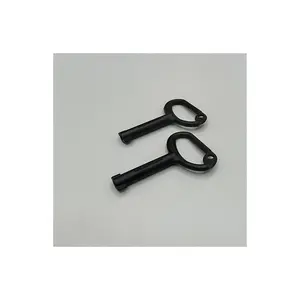 Factory Manufacture Zinc Alloy Black Powder Coated Skeleton Metal Key Keys