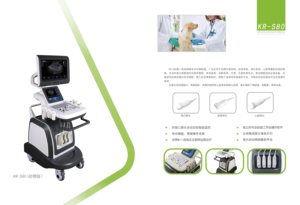 Litotriptor de Piedras Renales para Gatos Machos AEOLUS PET, Litotricia Extracorpórea por Ondas de Choque (ESWL) - Product Image 5