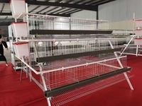 Système de cage à poules pondeuses en grillage métallique pour ferme avicole professionnelle – Machine automatique de cages en batterie pour poules pondeuses