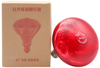 Ampoule d'élevage dénoyautée rouge étanche couveuse pour animaux de compagnie trappe poulet volaille Reptile poussins fermes cochon lampe chauffante infrarouge