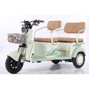3 <b>Wheels</b> Lead-Acid Battery Brushless Motor 600W 48V/60V Carbon Steel Frame Tricycle - Product Image 3