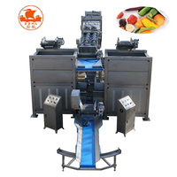 Gedroogde Groenten En Fruit Chips Maken Machine Vacuüm Knapperige Gebakken Gedroogde Groenten Fruit Chips Productielijn