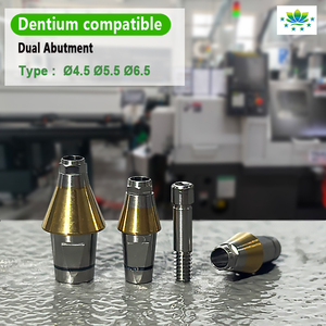 Nha sĩ siêu dòng Titan abutment chuyển kép & xi măng giữ lại abutment cho phòng thí nghiệm nha khoa OEM ODM tùy chỉnh dịch vụ 24h tàu - Product Image 6