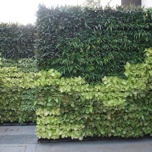 Paredes y Fachadas Verticales, Jardineras Verticales para Paredes Vivas, Jardineras Verticales SOL - Product Image 5