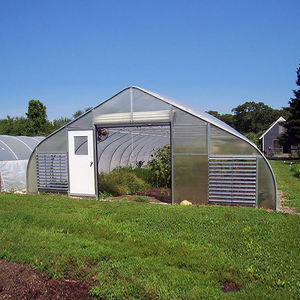 Invernadero Grande de un Solo Vano para Cultivo de Hongos, Estructura Galvanizada, Lámina de PE, Sistema de Regulación de Temperatura, Humedad y CO2 - Product Image 6