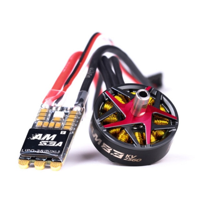 T-Hobby AM83 Low Noise Level Combo Factory Price Cheap P5B KV2560 Brushless RC Glider Flight Plane Motor with ESC Set Fixed Wing