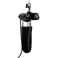 Polipasto de etapa de cadena eléctrica TUV BGV C1Certified M5 de velocidad fija 1 tonelada con interruptor de límite de 4 puntos para establecimiento de escenario