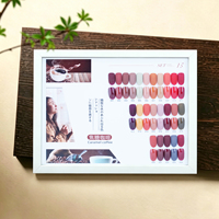 Ensemble de vernis gel 24 couleurs tons terre automne UV LED Soak-Off, gel à ongles marron, étiquette privée personnalisée OEM pour salon de manucure