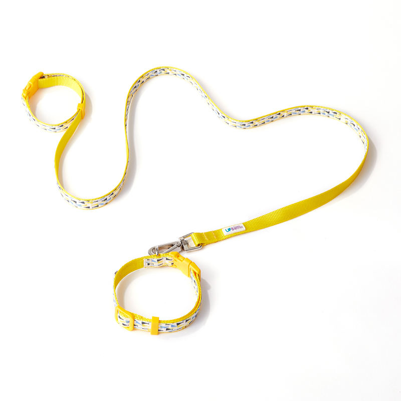 Collier + laisse (saut d'elfe)