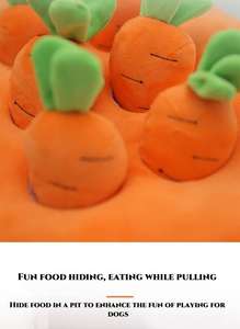 Vendita calda di alta qualità carino palla di carota all'ingrosso cucciolo di cane giocattolo di peluche <span class=keywords><strong>Pet</strong></span> Dog giocattolo per giocare per piccoli animali conigli - Product Image 5