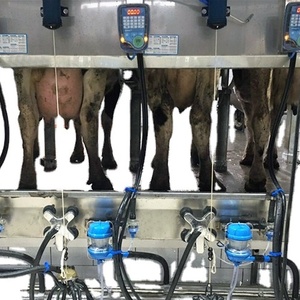 Ordeñadoras <span class=keywords><strong>de</strong></span> metrología electrónica, sistema automático <span class=keywords><strong>de</strong></span> máquinas <span class=keywords><strong>de</strong></span> <span class=keywords><strong>vaca</strong></span> beneficiosas para <span class=keywords><strong>la</strong></span> salud <span class=keywords><strong>de</strong></span> las <span class=keywords><strong>vaca</strong></span> lecheras - Product Image 5