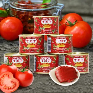 Pasta de tomate de estanho canteada da marca 70g tmt com preço de primeira mão de fábrica