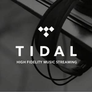 Suscripción Premium a Tidal Music por 12 Meses, Cuentas Tidal, Tidal Hifi Plus 1 Año - Product Image 2