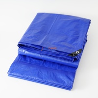 Bâche Poly Premium de Protection Extérieure Robuste Anti-UV pour Abri de Camping, Couvertures de Camions et Remorques