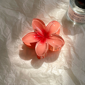 Pinces à cheveux en plastique PYC motif fleur hawaïenne 5x5x3cm pour femmes et filles, accessoires de mode décontractés, vente en gros - Product Image 6