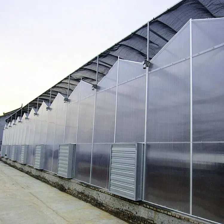 Hot Sale Venlo Typ Gewächshaus Polycarbonat Gewächshaus für die Fischzucht