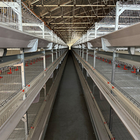 Poulailler automatique de type H à 4 niveaux pour poulets de chair pour l'alimentation des volailles au Sénégal