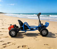 Nuevo Kart a Pedales con Motor de Gasolina de 80cc y Dos Tiempos, Todoterreno, UTV, para Carreras al Aire Libre, Derrapes en la Playa, Velocidad Máxima de 35 km/h