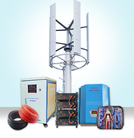 Polonia completo inteligente 3KW 5KW 10KW eje vertical Levitación generador de imán permanente turbina de viento vertical 10kw