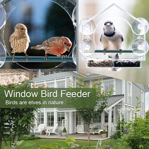 Asılı pencere Hummingbird papağan kuş su besleyici çevre dostu Modern tasarım plastik pleksiglas kuş kafesi besleyici - Product Image 3