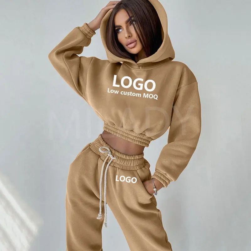 New fashion Custom Logo sweatpants and hoodie sets crop long sleeve hoodie plus velvet keep warm two piece set women