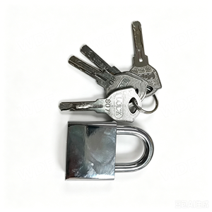 Serrures de sécurité supérieures en métal de qualité avec clés de différents modèles, kits de cadenas de sécurité en acier inoxydable pour machines de <span class=keywords><strong>jeu</strong></span> - Product Image 2