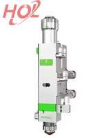 1.5kw 3.3kw 4kw 6kw Auto Focus 2D Tête de coupe Raytool BM114S BM111 BM109 pour machine de découpe laser Pièces d'équipement laser