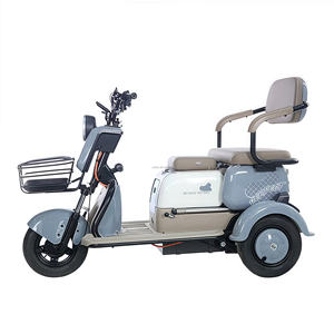 รถสามล้อไฟฟ้าแบบพับได้<span class=keywords><strong>2</strong></span>ที่นั่งพร้อมโครงเหล็ก20AH 60V และเกียร์<span class=keywords><strong>3</strong></span>สปีดรถสามล้อโดยสารพร้อมครีบตะกั่วกรดแบตเตอรี่ - Product Image 2