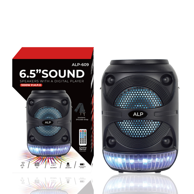 6.5 Inch Wireless Multifunction Rechargeable Karaoke Portable Subwoofer Speaker with Handle Mini Speaker