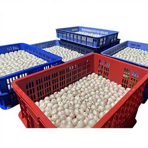 Lychees Biologiques Congelés du Vietnam, Conservés dans l'Eau, Emballage Sous Vide, Vente en Gros, Exportateur - Product Image 1