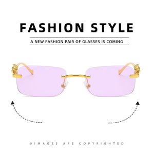 Occhiali da sole senza montatura con stampa leopardata, in metallo, stile europeo-americano da donna, quadrati, colorati, protezione UV, bestseller transfrontalieri - Product Image 5