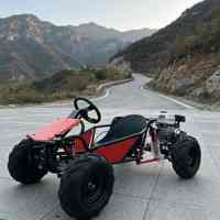 Dune buggy à essence 212cc à quatre temps avec transmission par chaîne et pneus tout-terrain de 8 pouces, kart professionnel tout-terrain pour adultes, vitesse maximale de 60 km/h