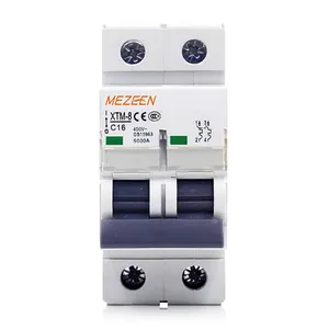 Low Voltage MCB Wenzhou Factory Price AC 2 Pole 20amps 40amps 63amps Air Mini Circuit Breaker 6KA Electric Safety