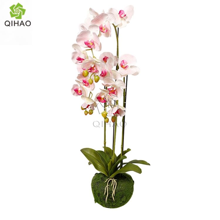 สีชมพูอ่อน