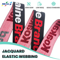 Promotion : Sangle en nylon, ceinture élastique personnalisée, bande élastique pour vêtements et pantalons, élastique jacquard à lettres, vente en gros