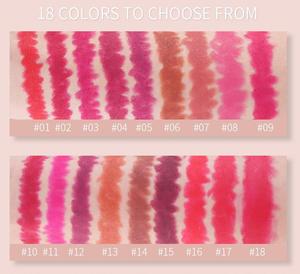 OEM FAIBLE QUANTITÉ MINIMALE DE COMMANDE 19 Couleurs Private Label <span class=keywords><strong>Maquillage</strong></span> Produits Cosmétiques Sans Logo Étanche Grand Mat Velours Lip Liner <span class=keywords><strong>Crayon</strong></span> - Product Image 6