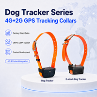 Traceur GPS 4G LTE Beidou 2G GSM OEM ODM pour collier, étanche IP67, localisation en temps réel LBS, application Android, dispositif de localisation PC pour la chasse