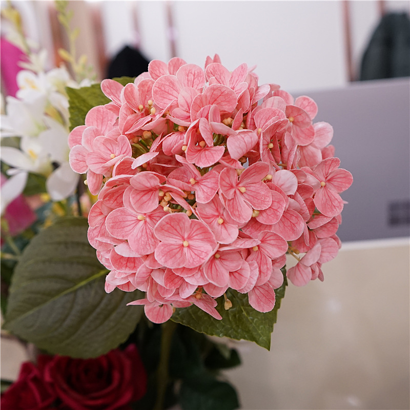 Rosa