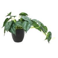 Plante artificielle Scindapsus Pictus de 25 cm de haut avec 29 feuilles, plante en pot artificielle