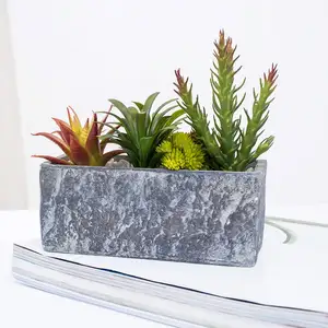 3 adet Set simüle akın Succulents hamuru havzası bitkiler mikro peyzaj çin'den