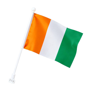 Bandera de Elecciones de Guinea 14x21, Impresión Digital, Plástico, Portátil, para Publicidad Exterior en Automóviles, ZF Global Export - Product Image 1