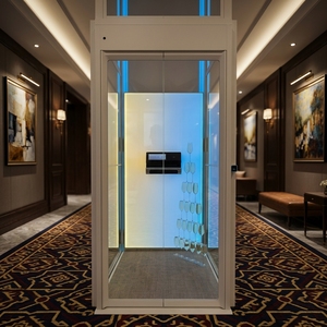 Ascensore Moderno <span class=keywords><strong>per</strong></span> Villa con Porta Elettrica <span class=keywords><strong>a</strong></span> Doppia Anta e Struttura in Metallo <span class=keywords><strong>per</strong></span> Appartamenti, Ville e Magazzini - Product Image 1