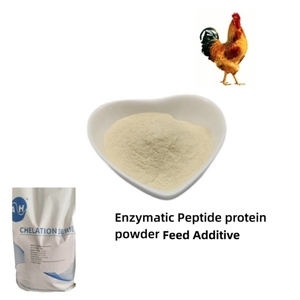 ส่วนผสมอาหารโปรตีน 70% สำหรับสัตว์ฟันแทะ โปรตีนแบคทีเรียชนิดผง สารเสริมอาหารสำเร็จรูป - Product Image 5