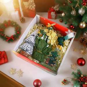 Elegante Set de Regalo Navideño Transfronterizo con Caja de Regalo Personalizada para Coche, Luces Decorativas para Árbol de Navidad - Product Image 3