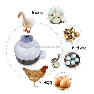 Máy ấp trứng 5-15 Máy ấp trứng có kiểm soát độ ẩm và quay trứng tự động - Product Image 6